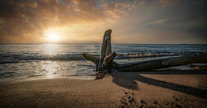 Physical Rehabilitation